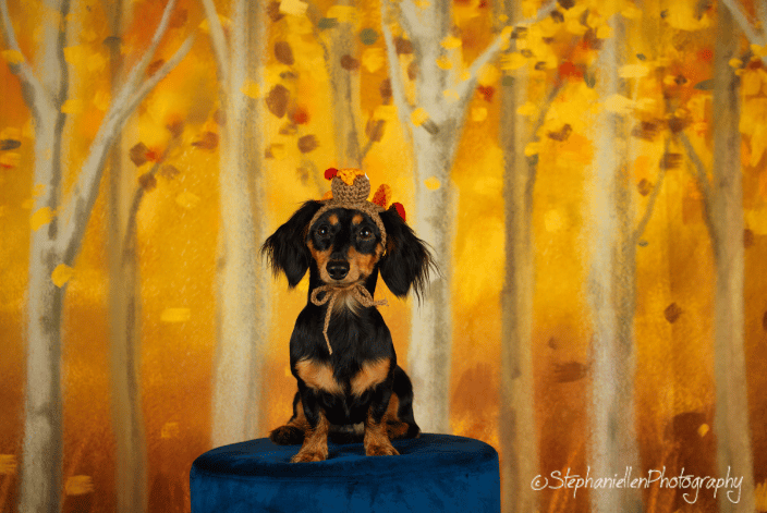 Fall