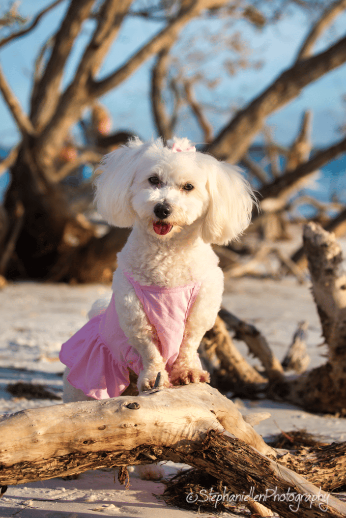 Beach fun