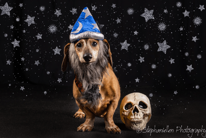 Fun Halloween