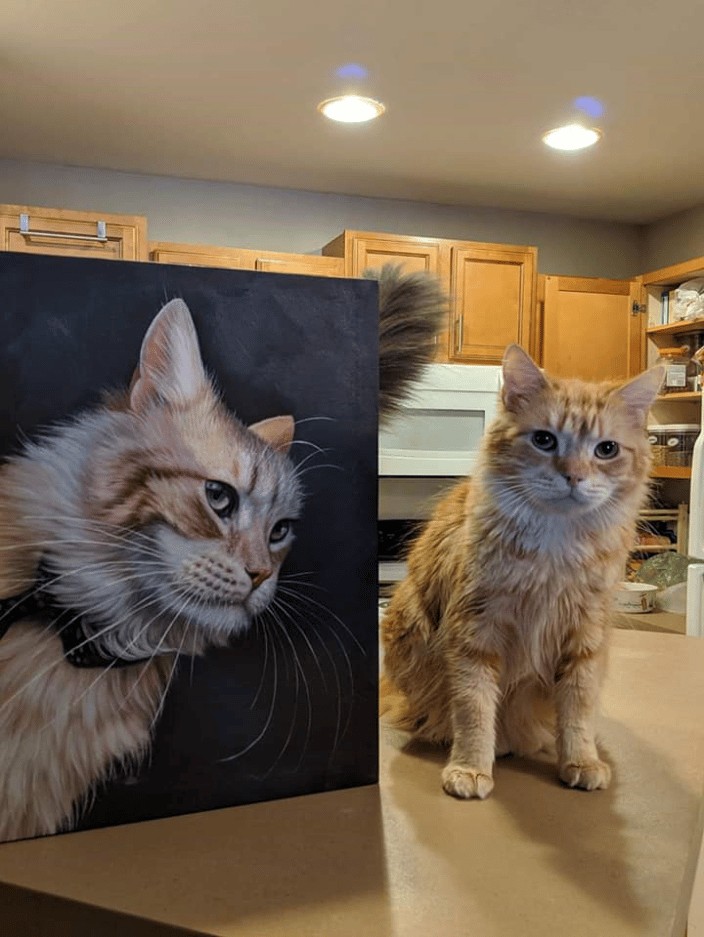 Cat portrait on canvas 