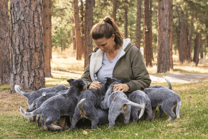 Amy surrounded by puppies