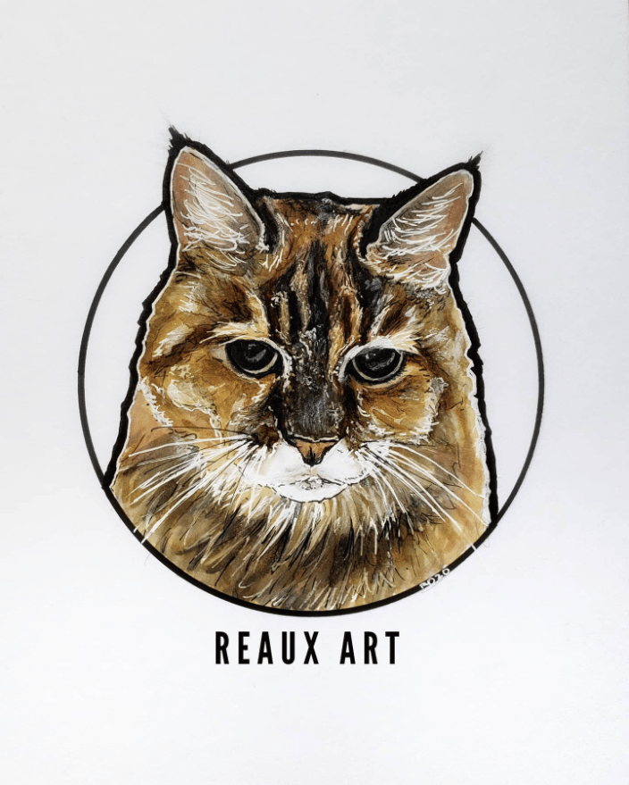 Gato
