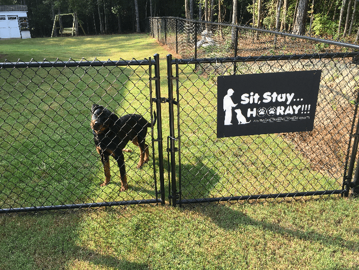 Rocky "advertises" SSH!