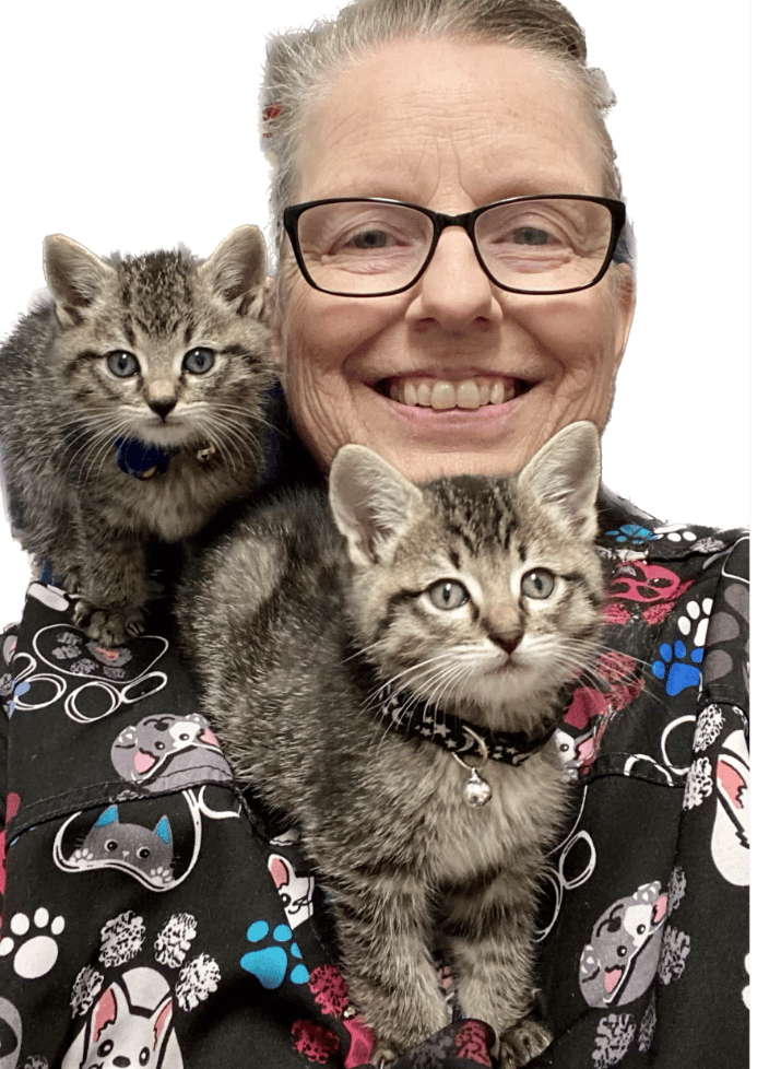 Dr. Noe enjoying some kitten snuggles