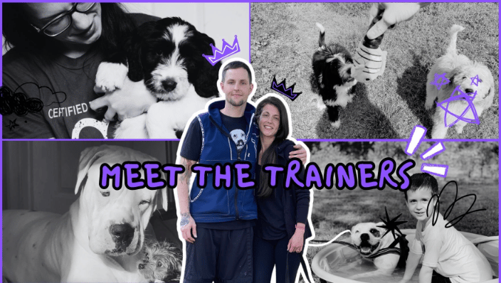 Certified Dog Trainers of Best Buddy Dog Trainer