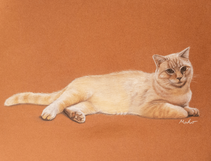 Cat Pastel Portrait - Maho 