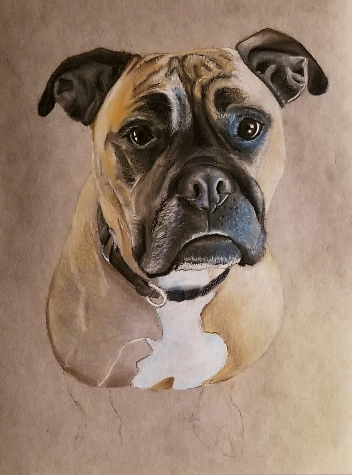 Dog Pastel Portrait - Sampson