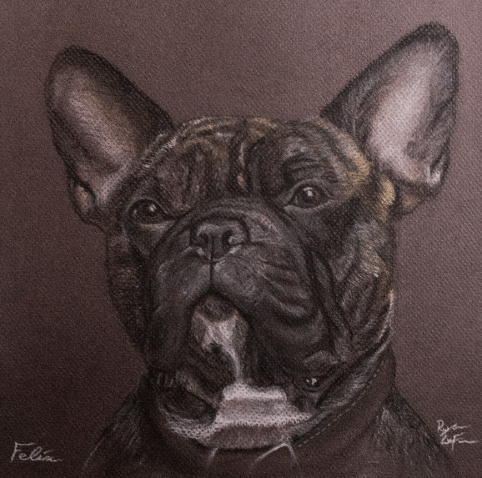 Dog Pastel Portrait - Felix