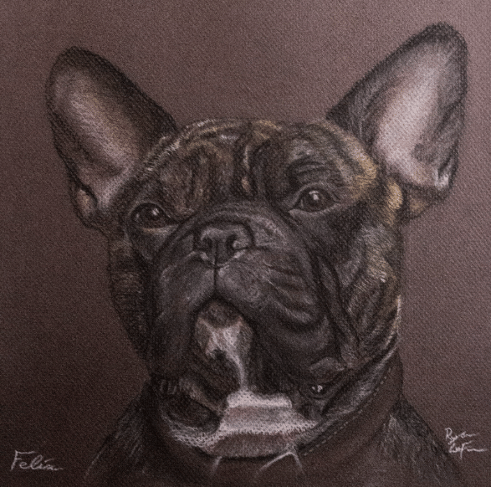 Dog Pastel Portrait - Felix