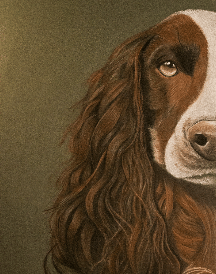 Dog Pastel Drawing - Example