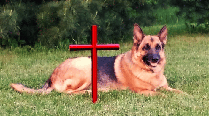 Dog Urn Memorial Cross Red SS