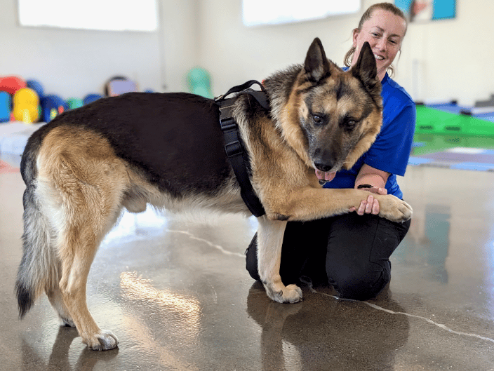 Exercises for Balance & Proprioception are an integral part of the recovery process