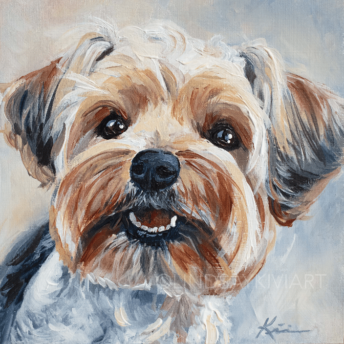 Silky Yorkie
