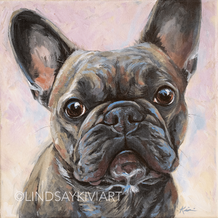French Bulldog