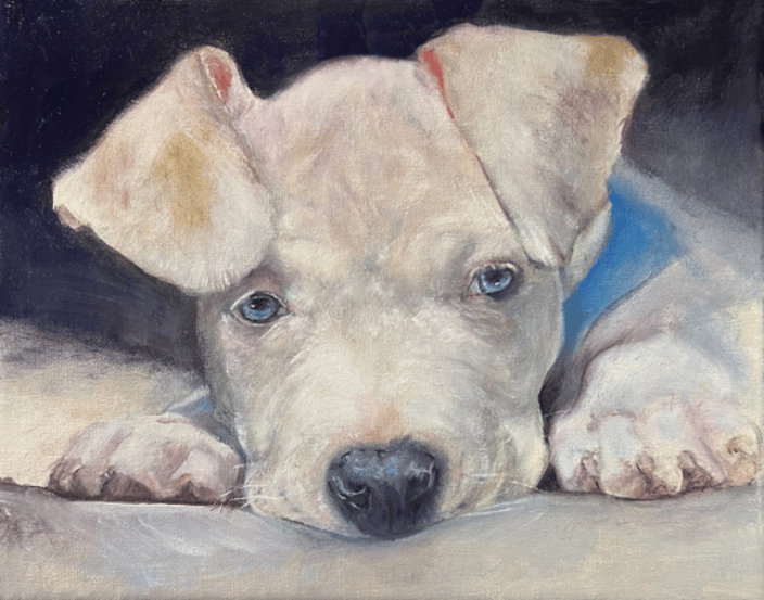 Pup with blue eyes