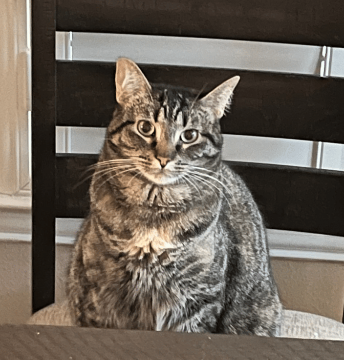Cloe