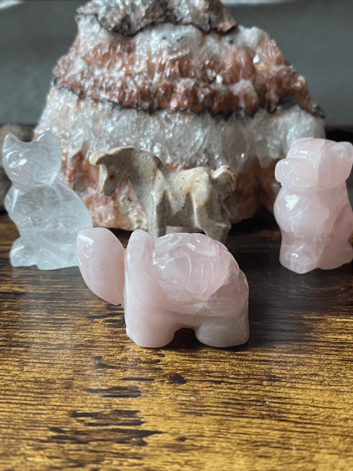 Spirt Animal Healing Gemstones I use during sessions!ons!