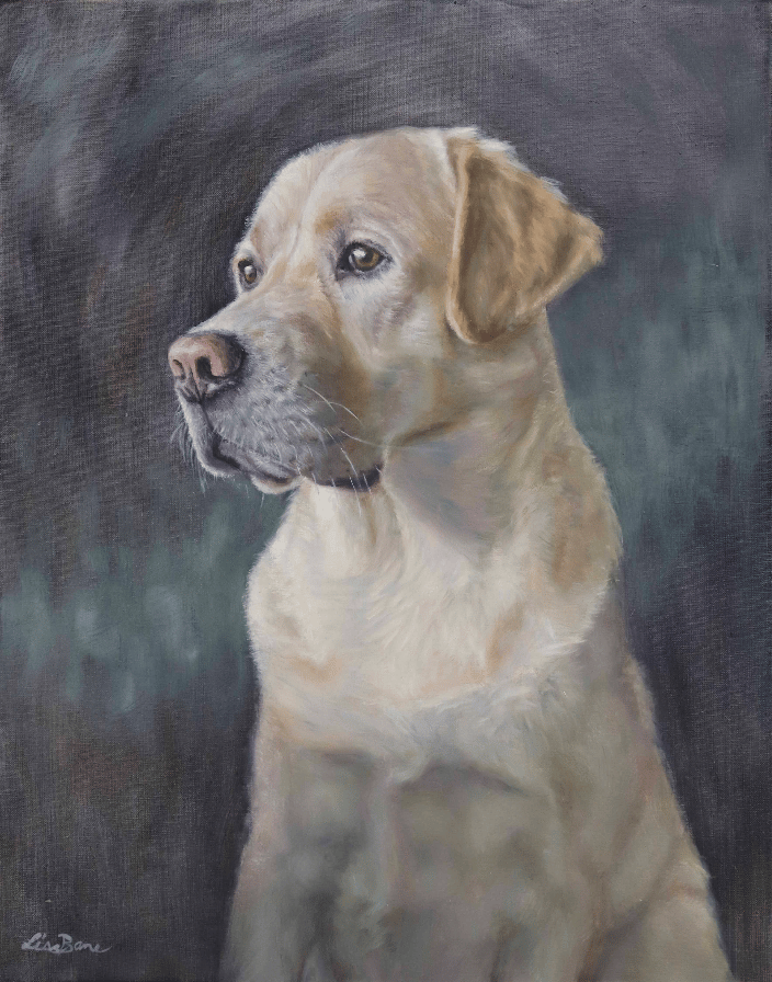 Golden Lab, 16x20" oil on canvas