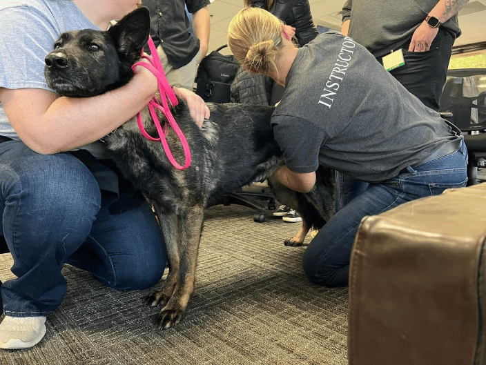 Teaching Canine Adjusting