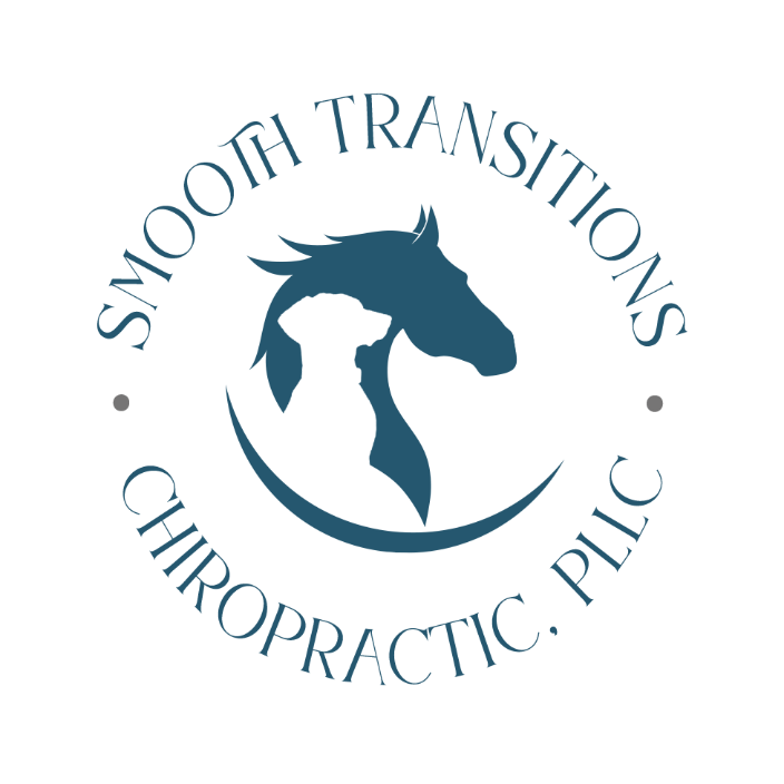 Smooth Transitions Chiropractic Logo