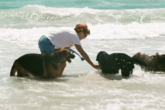 client and her dogs