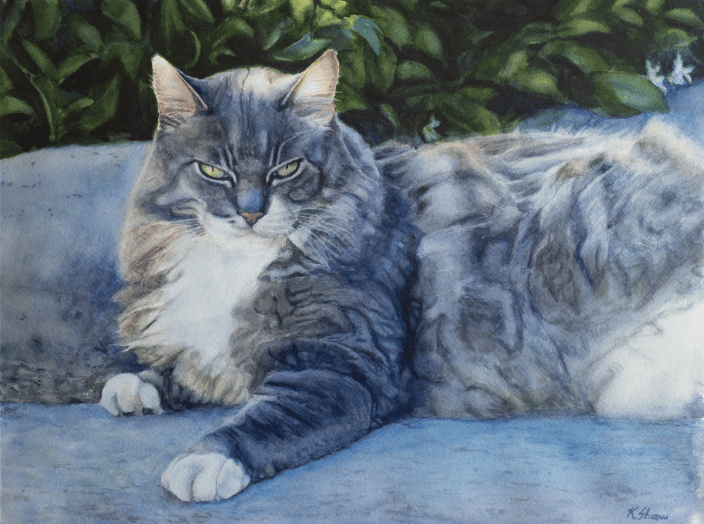 "Fred", watercolor on paper, 12" x 16"
