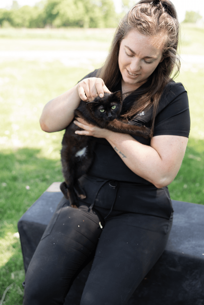 Cat Adjustment