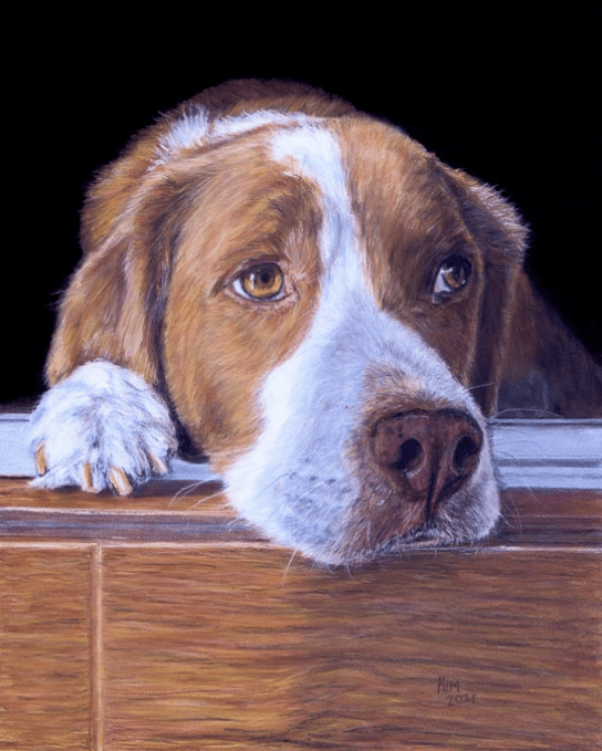 Pastel painting of a red and white dog