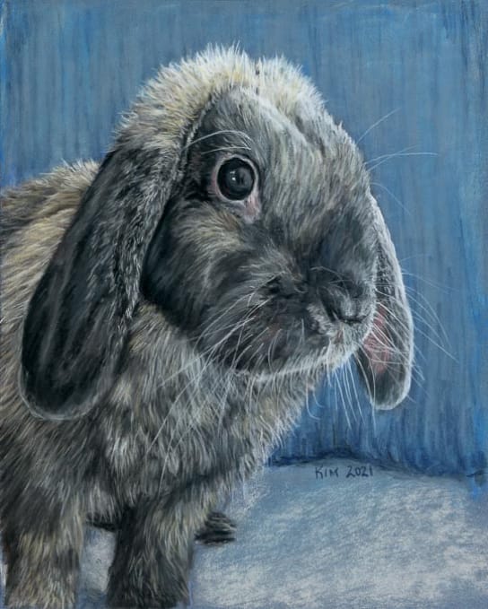 Pastel painting of a lop eared bunny