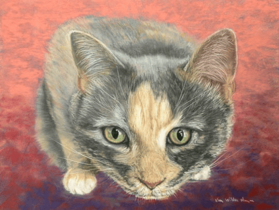 Pastel painting of a dilute tortoiseshell cat