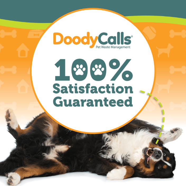 Satisfaction Guaranteed