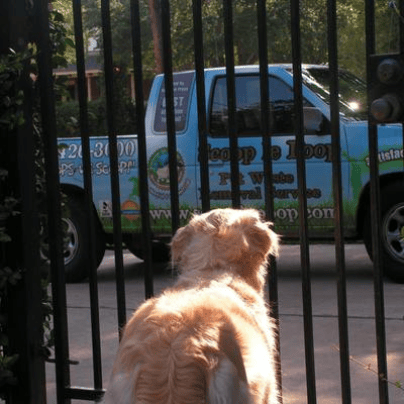 A happy customer excited to see us.