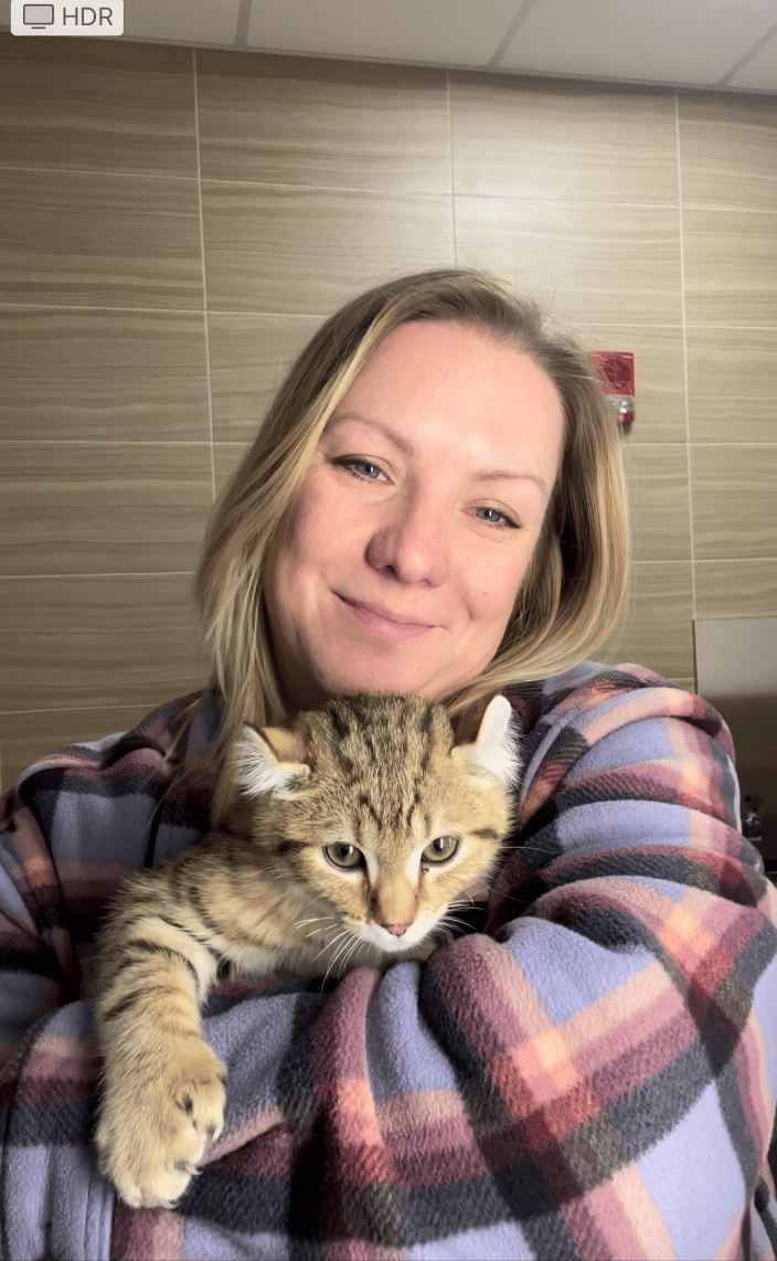 Kitty Flight Nanny