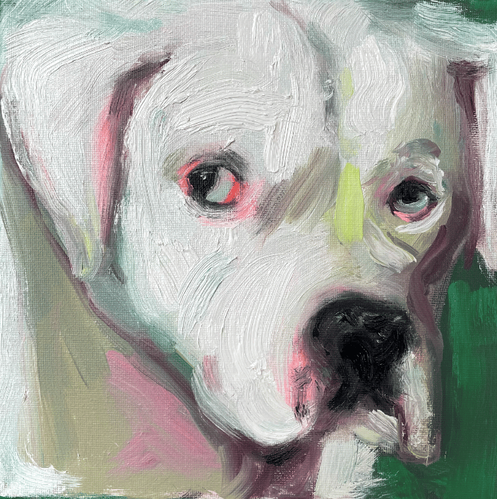 Dog 5, oil on canvas, 8x8 inches, 2022