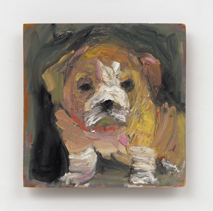 Dog 6, oil on board, 12x16 inches, 2019
