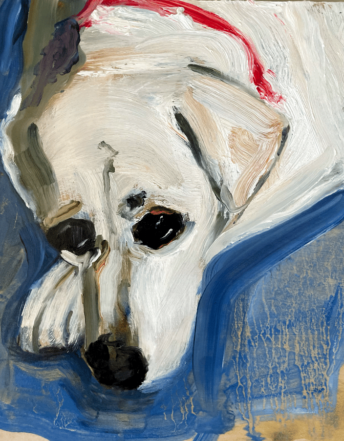 Dog 6, oil on board, 12x16 inches, 2019