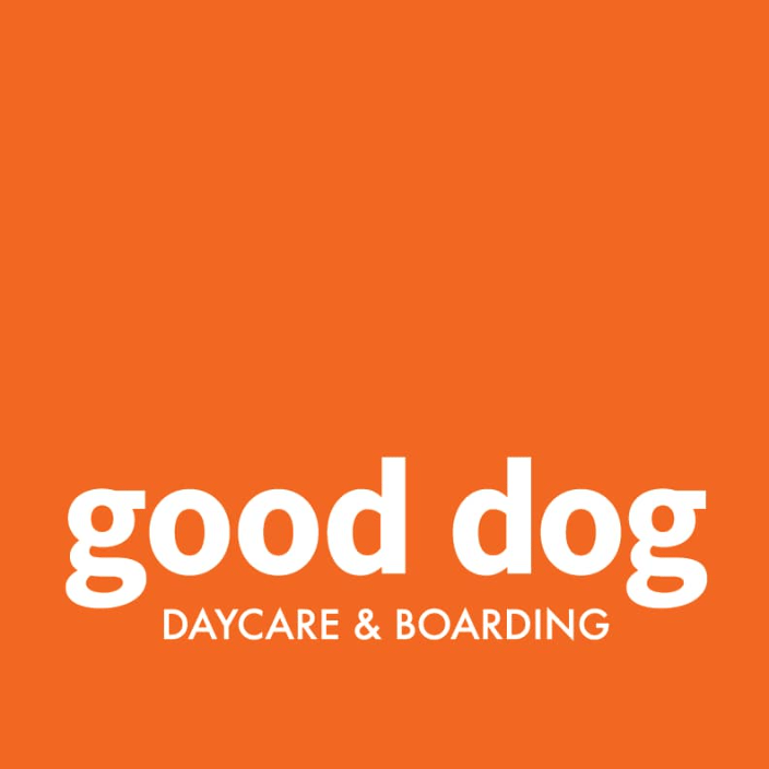 Good dog daycare and sales boarding