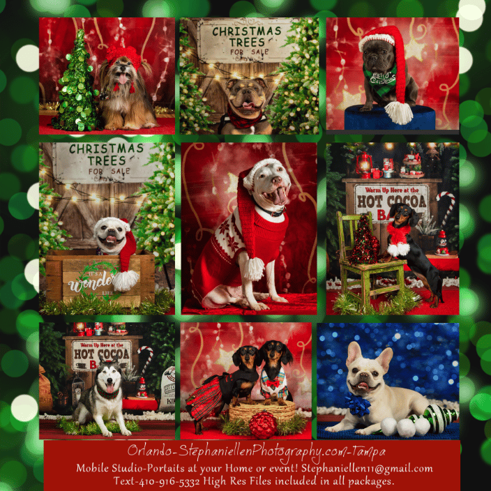 Christmas Studio Style portraits