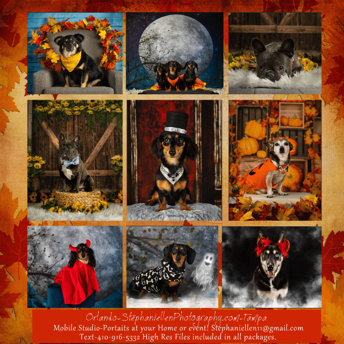 Halloween Studio sessions