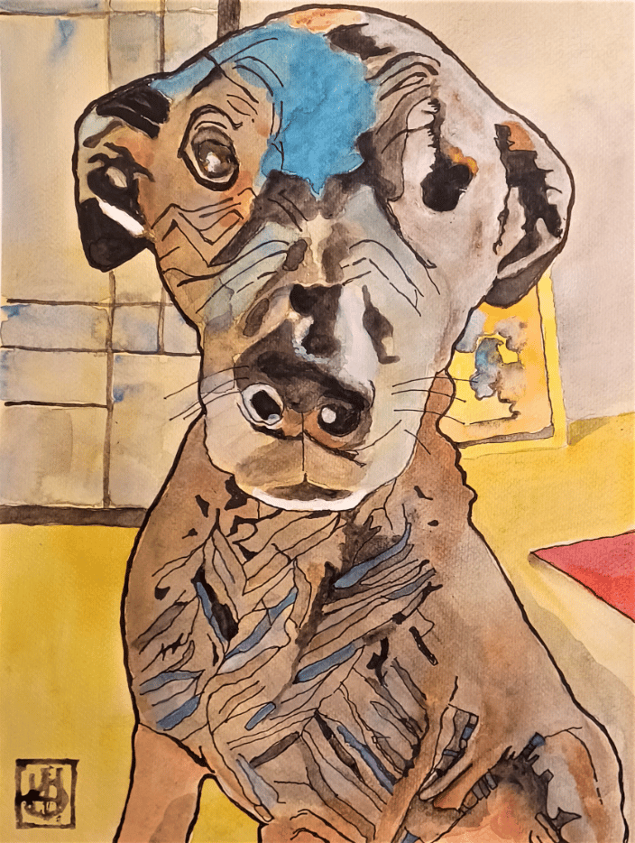 One eyed pup