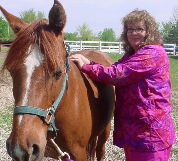 Equine bodywork