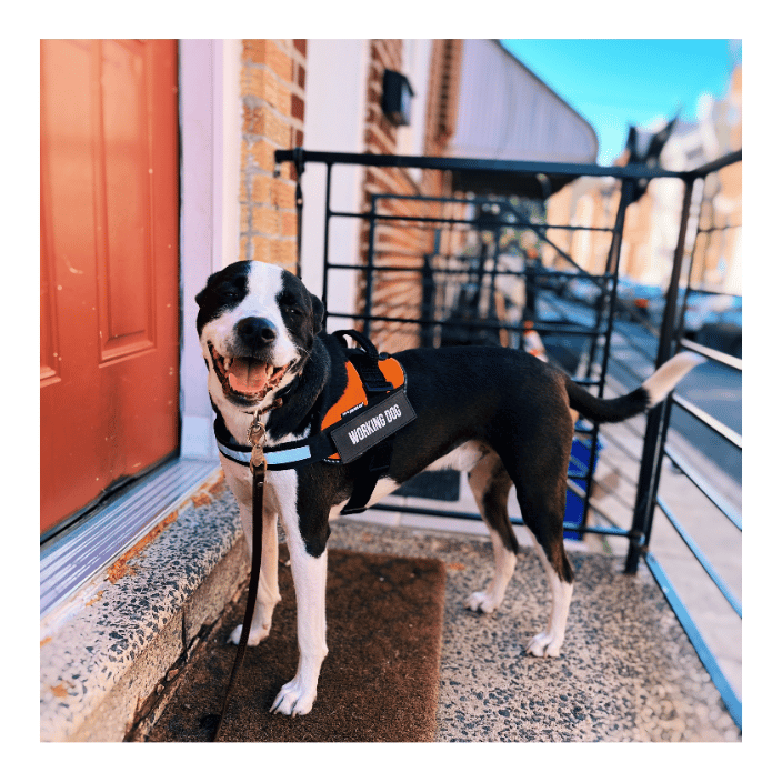 Philly client