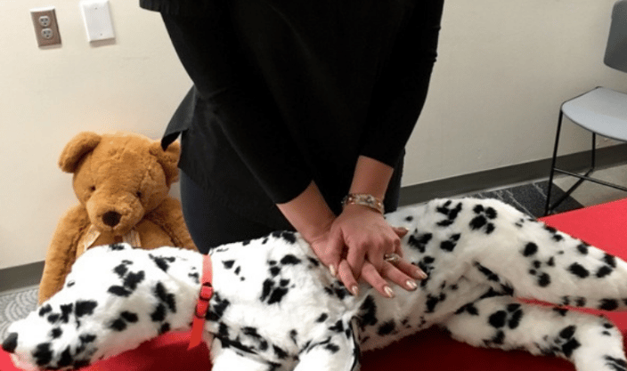 Pet CPR