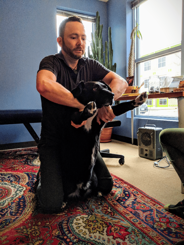 Canine Shoulder Adjustment