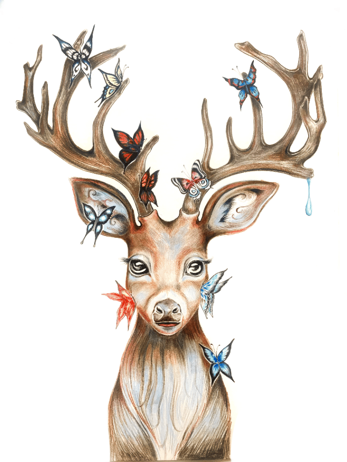 Deer Portrait
