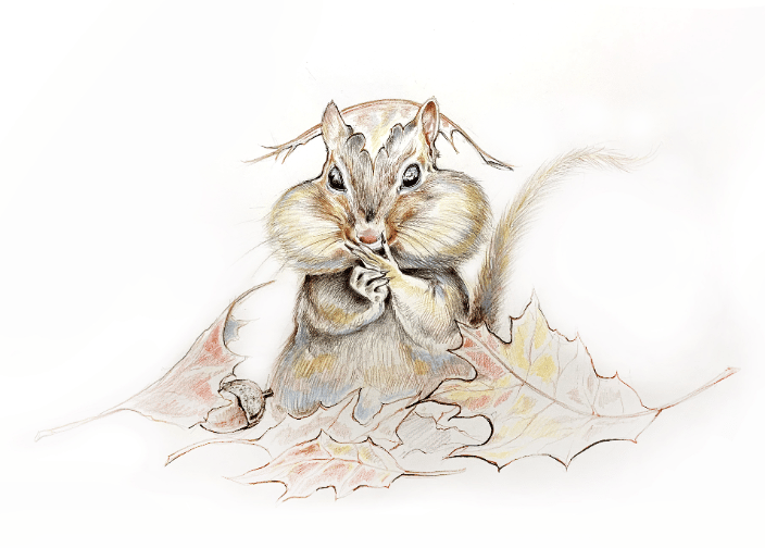 Chipmunk Portrait Art