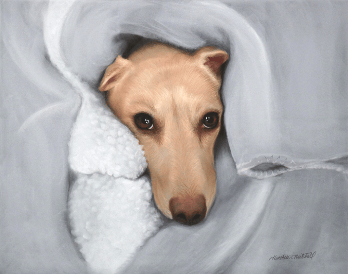 "Sophie" 16" x 20" pastel painting of a dog by artist Heather Mitchell.