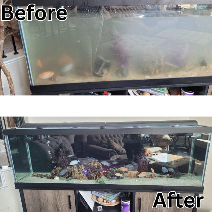 125g Cichlid Tank