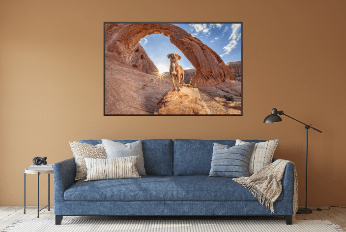 A portrait of Guinness, a Pointer mix, under Corona Arch near Moab, UT at sunrise over a blue sofa.
