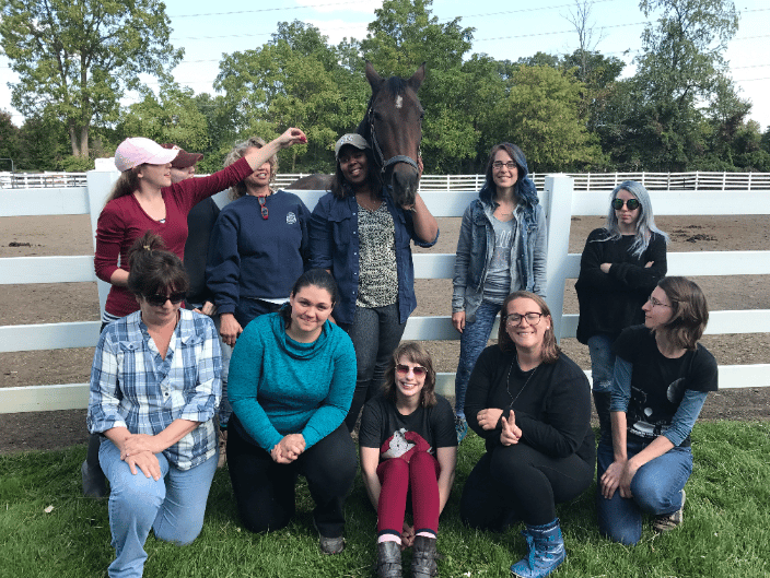Equine massage workshop